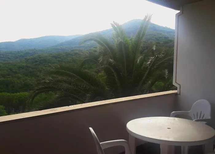 Napoleon - Helloelba Проккио